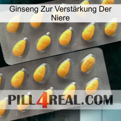 Ginseng Zur Verstärkung Der Niere cialis2